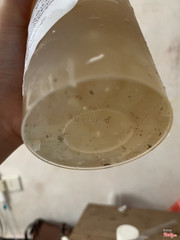 Trà sữa đặt xong toàn cặn bẩn làm sao uống được