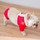  Cuong  Pham