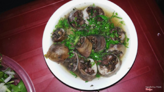 lòng dồi