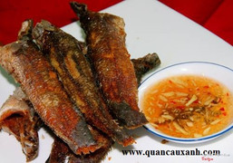 Chuyên Các Món Ăn : Dê Chỉ, Bò Tơ Củ Chi, Bò Úc, Bia Sệt, ... http://www.quancauxanh.com/ Địa chỉ : 146D Bình Trị Đông ( Đất Mới ), Bình Trị Đông, Bình Tân, Hồ Chí Minh, Việt nam.