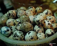 Trứng cút lộn