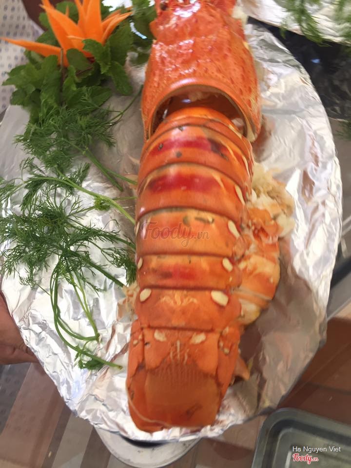 Tôm hùm bông