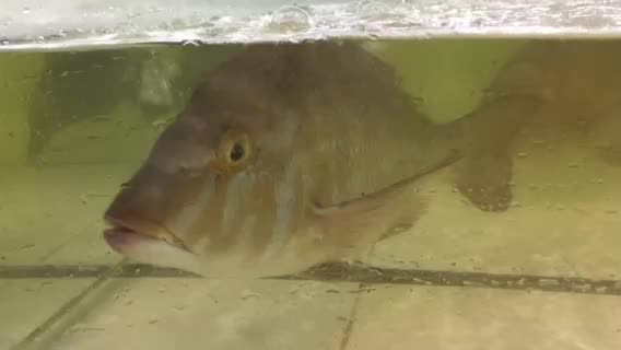 Chợ Hải Sản Vạn Chài Hà Nội