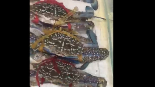 Chợ Hải Sản Vạn Chài Hà Nội