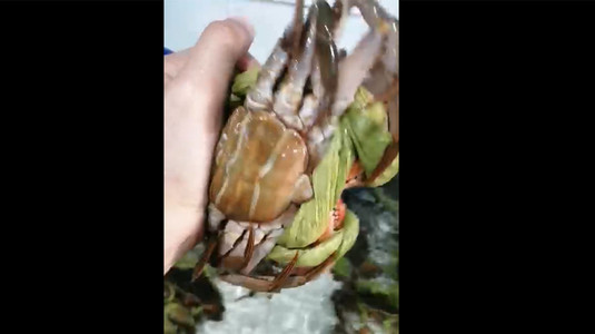 Chợ Hải Sản Vạn Chài Hà Nội