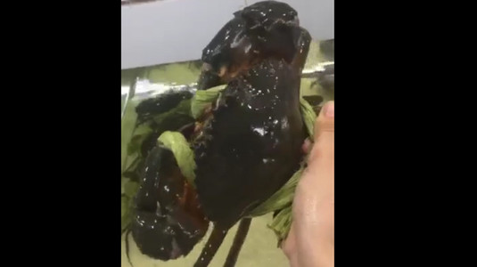 Chợ Hải Sản Vạn Chài Hà Nội