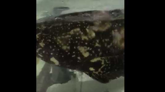 Chợ Hải Sản Vạn Chài Hà Nội