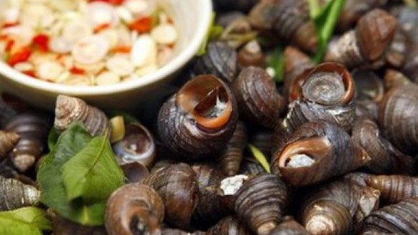 Hải Sản Khánh Vy - Ba Tơ