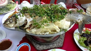 cá trắm hấp 3kg 285k