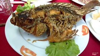 cá rô phi chiên 1,4kg 112k