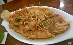 Cá diêu hồng chiên giòn

Nguồn: http://www.foody.vn/ho-chi-minh/ot-do-am-thuc-thai-lan
