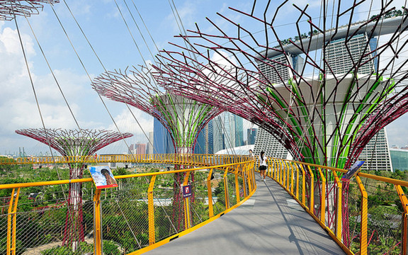 OCBC Skyway