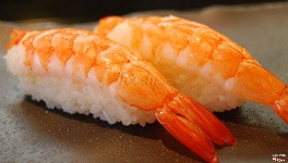 Nigiri Tôm