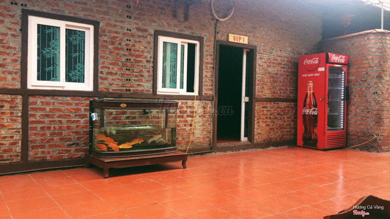 Cá vàng bơiiingggg