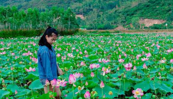 Hồ Sen Hồ Lác