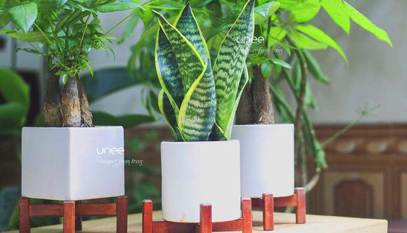 UNEE - Uniques From Trees