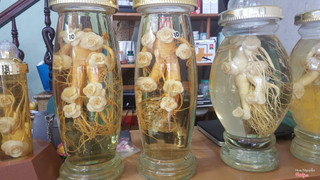 Bình rượu sâm Hàn Quốc