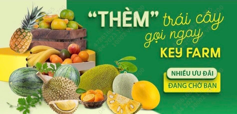 KEY FARM - Trái Cây - Bàu Cát 5