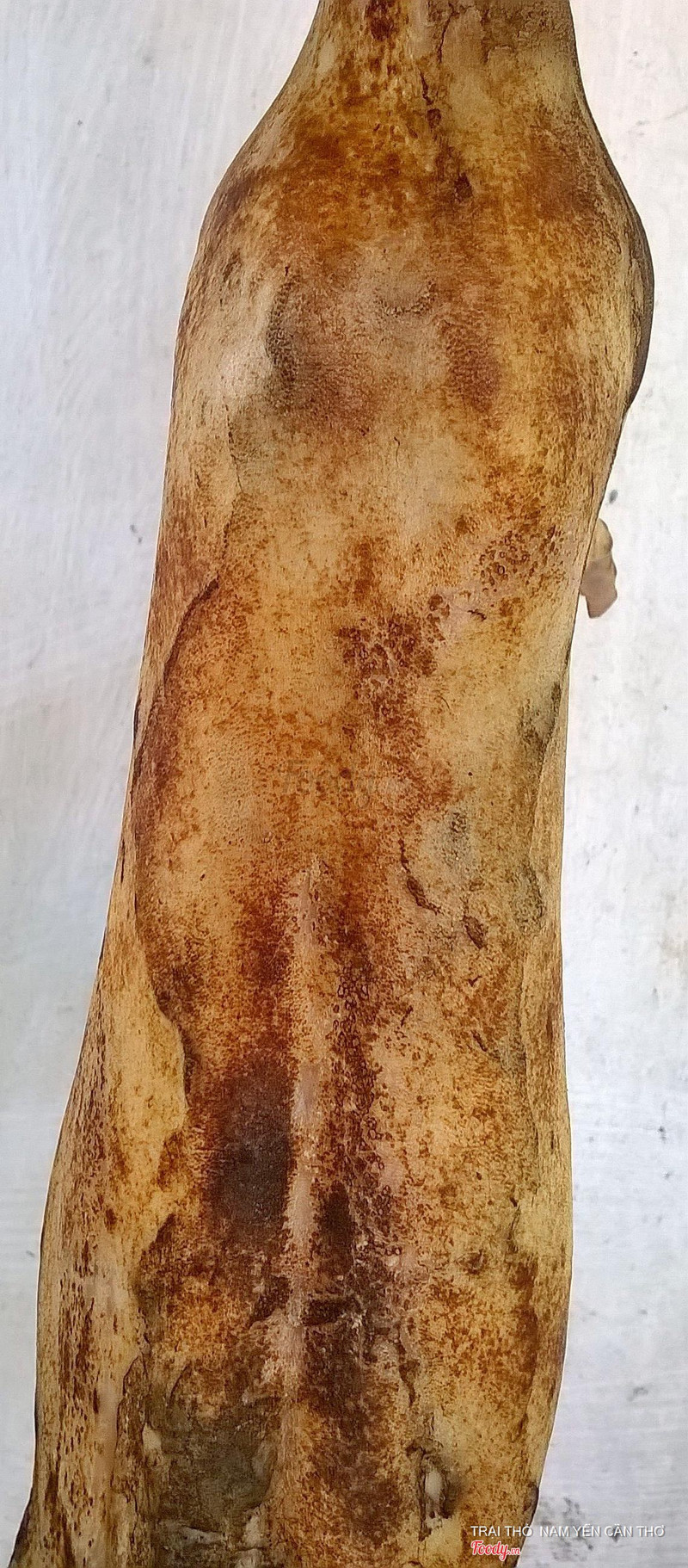 NHẬN CUNG CẤP THỎ THỊT SỐ LƯỢNG LỚN VÀ ỔN ĐỊNH CHO CÁC QUÁN ĂN,NHÀ HÀNG  TRẠI THỎ NAM YẾN CẦN THƠ 