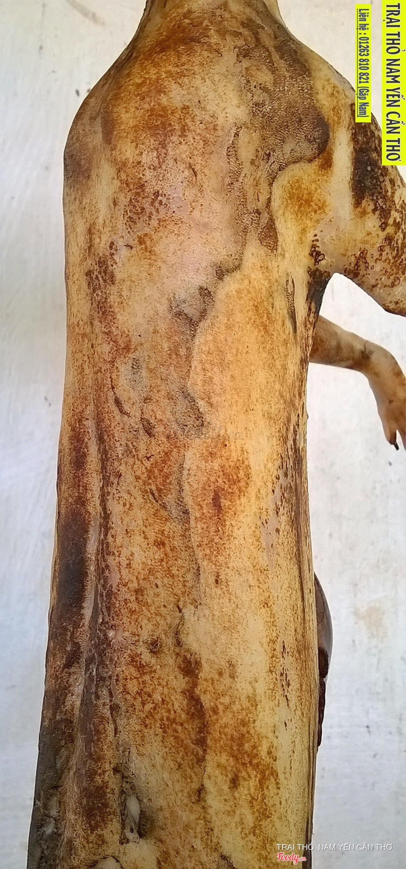 NHẬN CUNG CẤP THỎ THỊT SỐ LƯỢNG LỚN VÀ ỔN ĐỊNH CHO CÁC QUÁN ĂN,NHÀ HÀNG  TRẠI THỎ NAM YẾN CẦN THƠ 