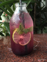 Soda việt quất