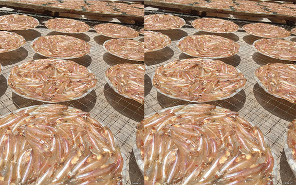 Đặc Sản Miền Tây - Khô Các Loại