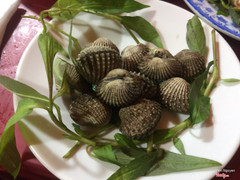 sò huyết nướng