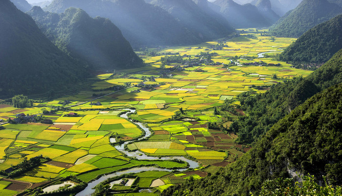 Lữ Hành Việt - Chi Nhánh Trần Vĩ