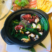bạch tuộc sauna