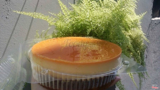 FLAN GATEAU