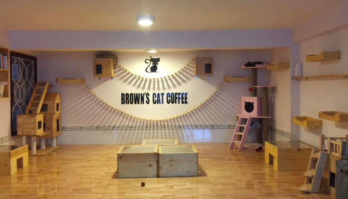 Brown’s Cat Coffee - Cafe Mèo Nâu