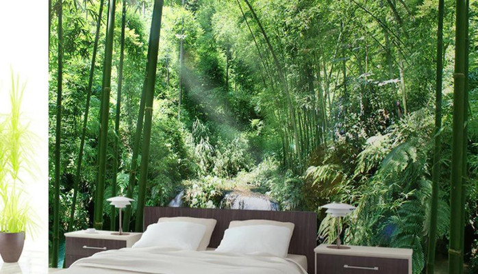 Tranh Dán Tường Tăng Thiện Lạc