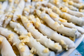 Trùng biển sá kéng