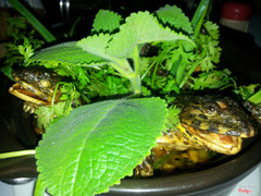 Món ếch ngồi đáy giếng độc đáo