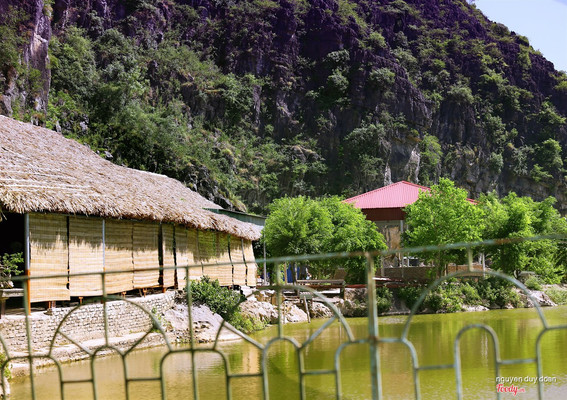 Tam coc homestay NINH BINH