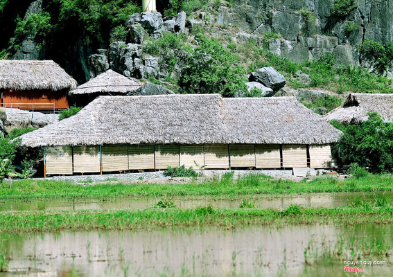 Tam coc homestay