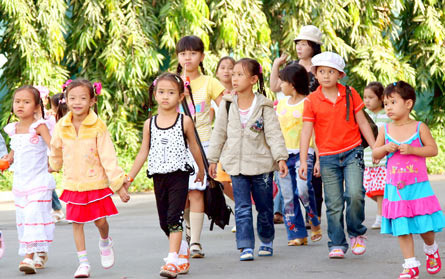 Mầm Non Liễu Giai Cầu Giấy