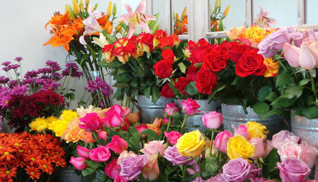 Shop Hoa Tươi Đẹp - Shop Online