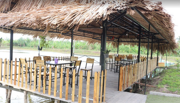 Ngô Đồng - Vườn Sinh Thái