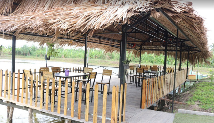 Ngô Đồng - Vườn Sinh Thái