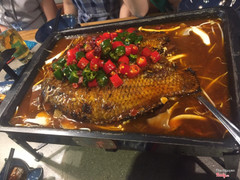 Cá sốt huyết trùng khánh