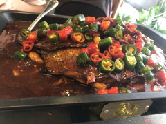 cá Tai Tượng huyết Trùng Khánh