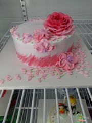 Bánh kem tươi hiện đại