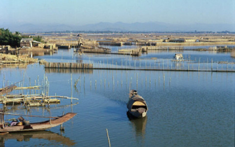 Du Lịch Đà Nẵng