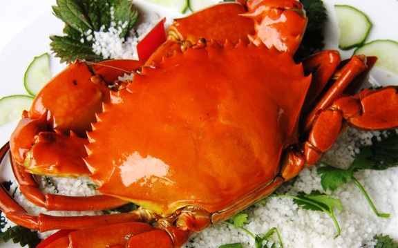 Ẩm Thực Vành Đai Xanh - Cao Lỗ