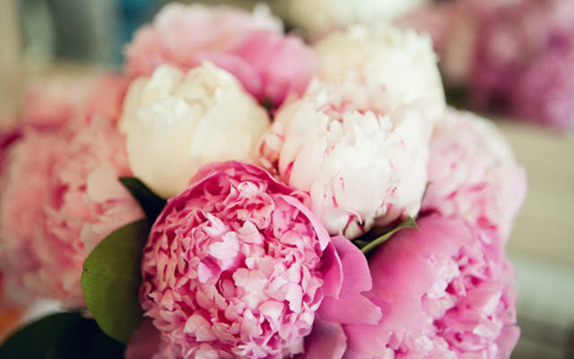 Hoa Tươi Sài Gòn - Lê Hồng Phong