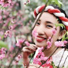 Rượu Vang Đỏ