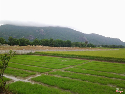 Những Điểm Du Lịch Sát Vách Cần Thơ Đẹp Không Tưởng Nổi