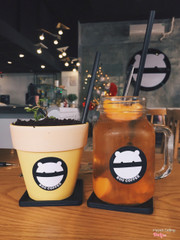 Trà sữa chậu cây-Trà đào