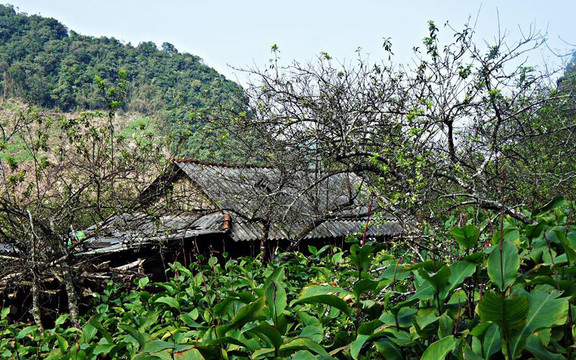 Mai Châu Family Homestay